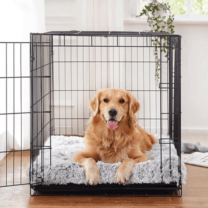 gid://shopify/MediaImage/33701371052272